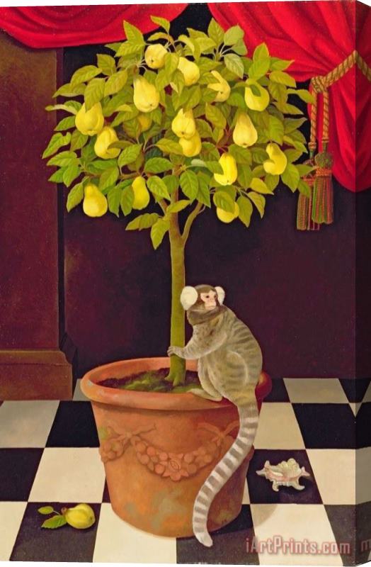 Collection Marmoset And Quince Tree Stretched Canvas Painting / Canvas Art