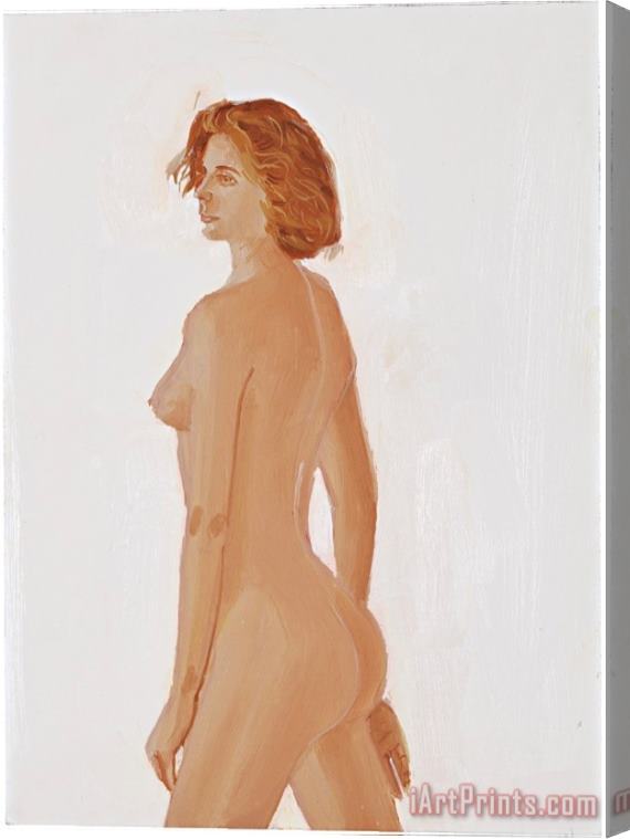 Collection Nude Stretched Canvas Print / Canvas Art
