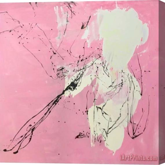 Collection Pink II Stretched Canvas Painting / Canvas Art