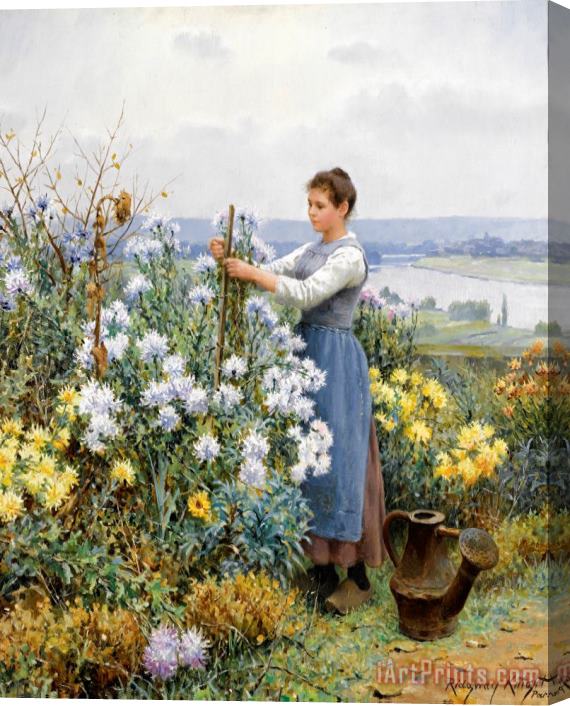 Daniel Ridgway Knight Chrysanthemums Stretched Canvas Painting / Canvas Art