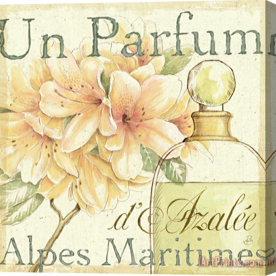 Daphne Brissonnet Fleurs And Parfum III Stretched Canvas Print / Canvas Art
