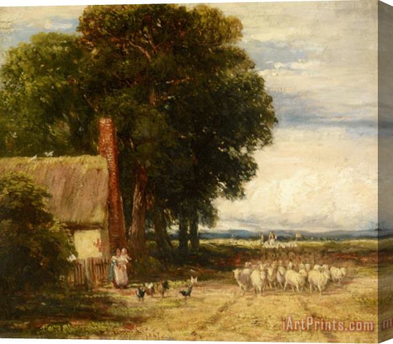 David Cox Landscape with a Shepherd And Sheep Stretched Canvas Painting / Canvas Art