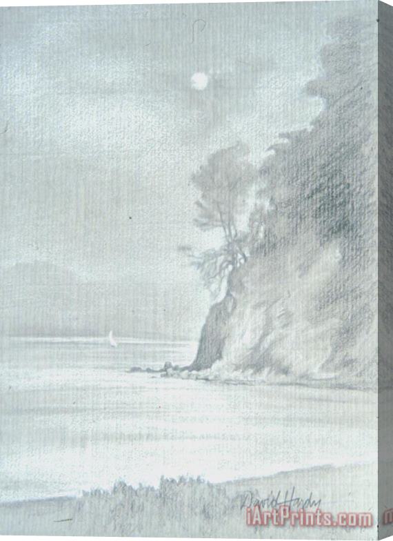 David Hardy Bay Moon Stretched Canvas Print / Canvas Art