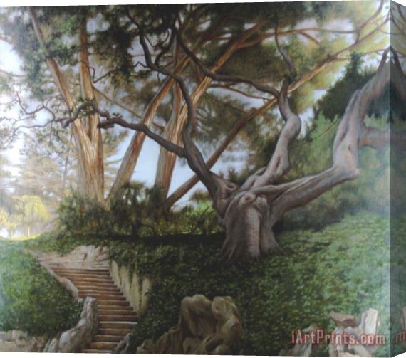 David Hardy Garden of The Ancient Oak Stretched Canvas Painting / Canvas Art