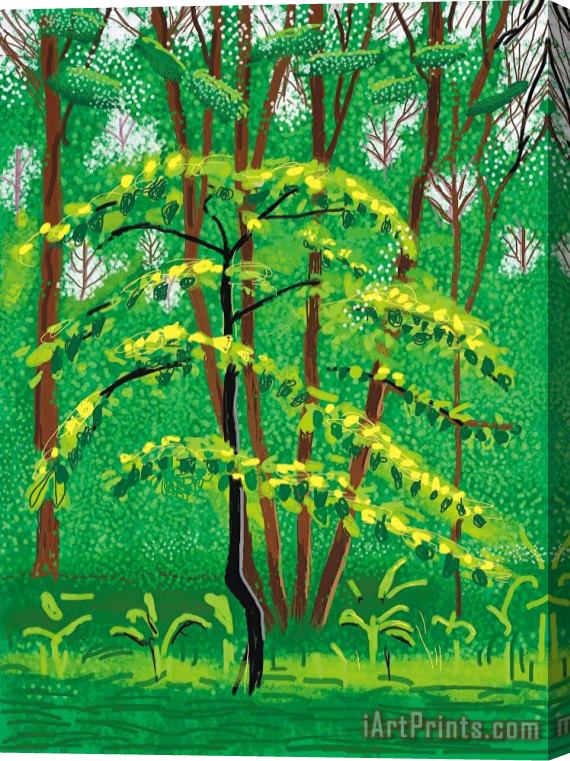 David Hockney 19 May, From The Arrival of Spring in Woldgate, East Yorkshire in 2011 (twenty Eleven), 2011 Stretched Canvas Print / Canvas Art
