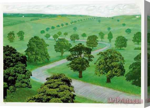 David Hockney Green Valley, 2008 Stretched Canvas Print / Canvas Art
