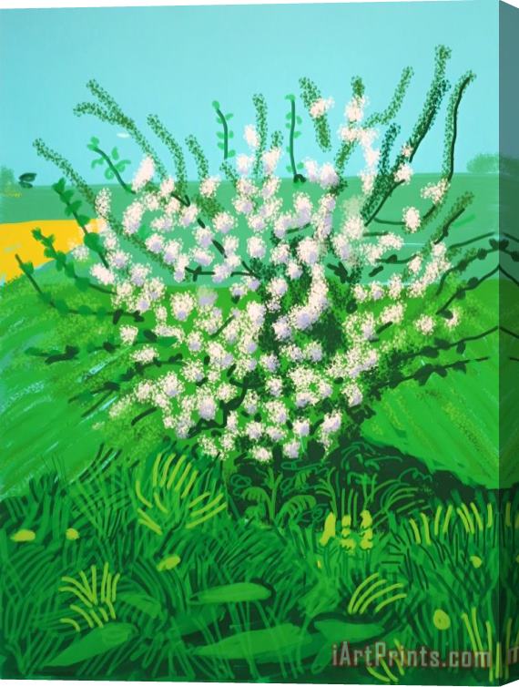 David Hockney The Arrival of Spring in Woldgate, East Yorkshire in 2011(twenty Eleven) 30 April, 2011 Stretched Canvas Painting / Canvas Art