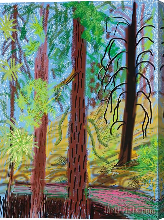David Hockney Untitled No. 6 From The Yosemite Suite, 2010 Stretched Canvas Print / Canvas Art