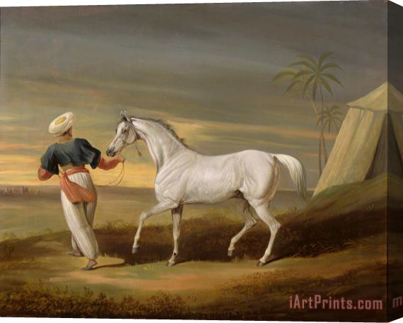David of York Dalby Signal - a grey Arab with a Groom in the Desert Stretched Canvas Painting / Canvas Art