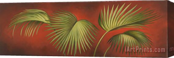 Debra Lake Ferns 2 Stretched Canvas Print / Canvas Art