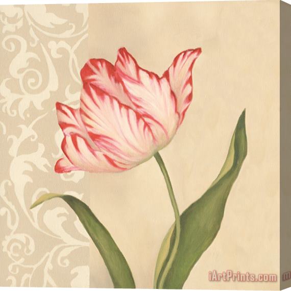 Debra Lake Parrot Tulip Stretched Canvas Painting / Canvas Art