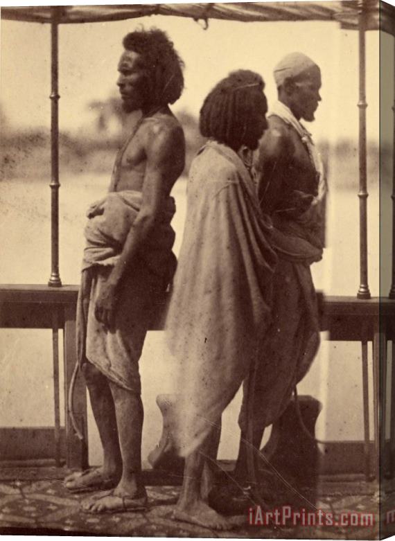 Despoineta (portrait of Three Native Men Standing in Profile) Stretched Canvas Print / Canvas Art