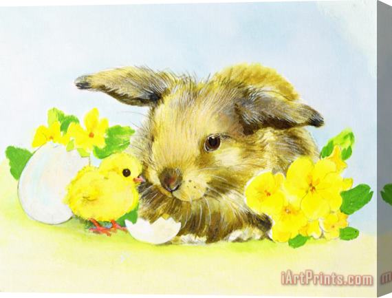 Diane Matthes Easter Bunny With Primrose And Chick Stretched Canvas Painting / Canvas Art