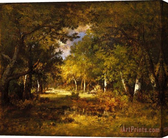 Diaz De La Pena, Narcisse Virgile Forest Scene Stretched Canvas Painting / Canvas Art