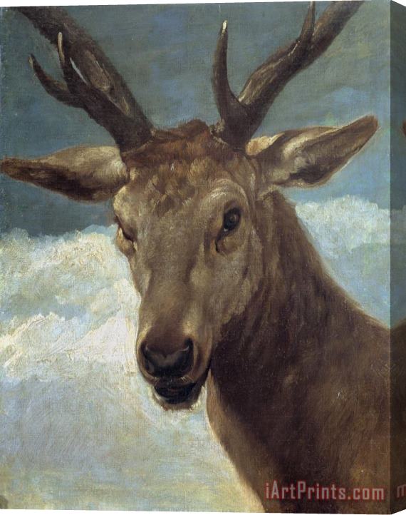 Diego Velazquez Deer Head Stretched Canvas Painting / Canvas Art