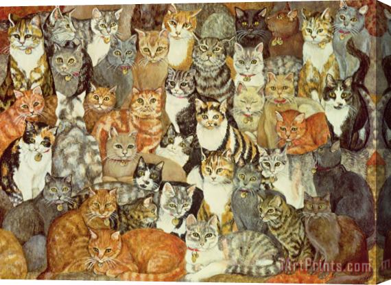 Ditz Cat Spread Stretched Canvas Painting / Canvas Art