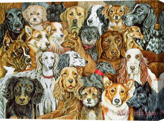 Ditz Dog Spread Stretched Canvas Painting / Canvas Art
