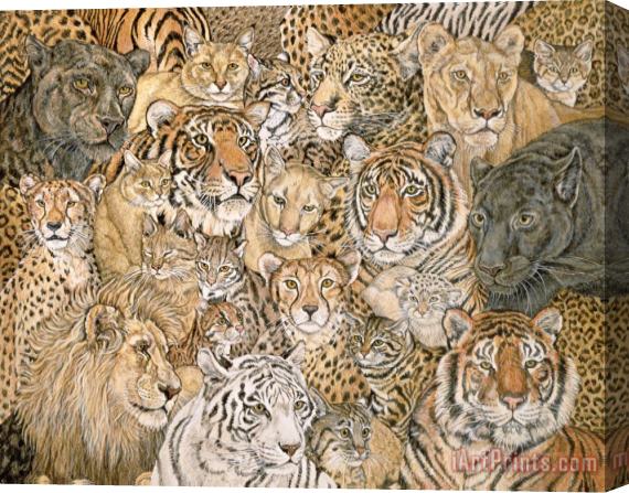 Ditz Wild Cat Spread Stretched Canvas Print / Canvas Art