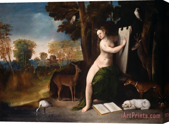Dosso Dossi Circe And Her Lovers in a Landscape 1516 Stretched Canvas Painting / Canvas Art