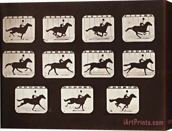 Eadweard J. Muybridge Sallie Gardner Running From The Attitudes of Animals in Motion Stretched Canvas Print / Canvas Art