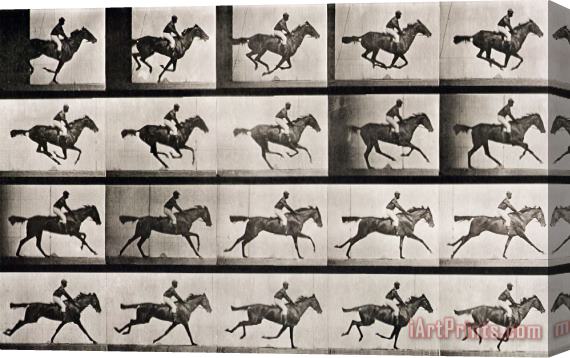 Eadweard Muybridge Jockey On A Galloping Horse Stretched Canvas Painting / Canvas Art