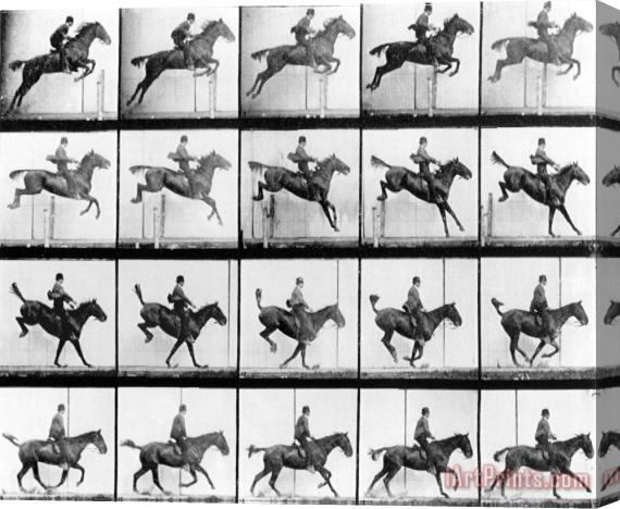 Eadweard Muybridge Man And Horse Jumping Stretched Canvas Painting / Canvas Art
