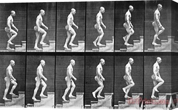 Eadwerd Muybridge Man Ascending Stairs Stretched Canvas Painting / Canvas Art