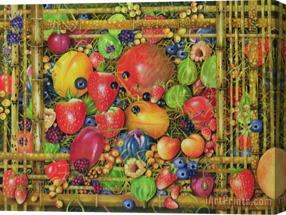 EB Watts Fruit In Bamboo Box Stretched Canvas Print / Canvas Art
