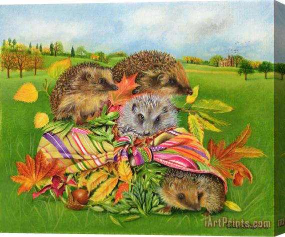EB Watts Hedgehogs Inside Scarf Stretched Canvas Print / Canvas Art