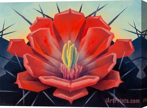 Ed Mell Red Hedgehog, Cactus Flower Stretched Canvas Painting / Canvas Art