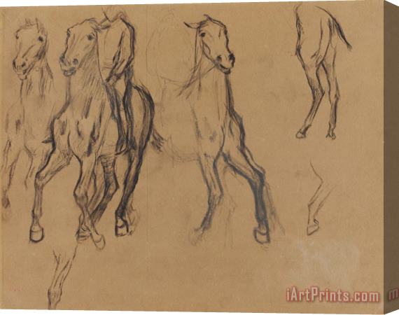 Edgar Degas Study of Horses Stretched Canvas Painting / Canvas Art