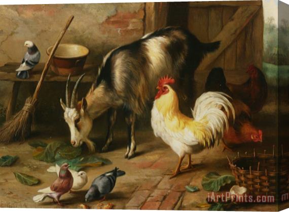 Edgar Hunt A Goat Chicken And Doves in a Stable Stretched Canvas Painting / Canvas Art