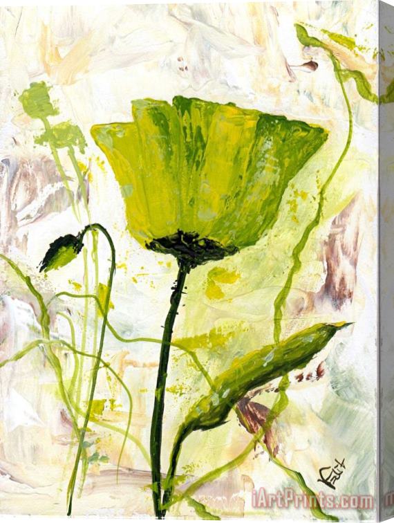 Edit Voros Green poppy Stretched Canvas Print / Canvas Art