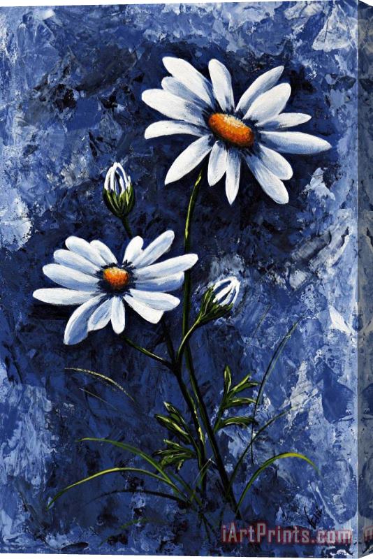 Edit Voros My flowers - Daisies blue Stretched Canvas Painting / Canvas Art