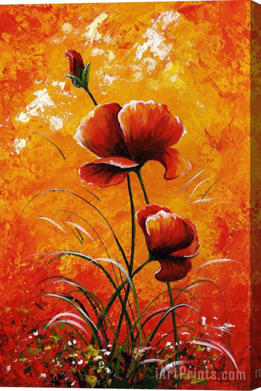 Edit Voros My flowers - Poppies 023 Stretched Canvas Print / Canvas Art