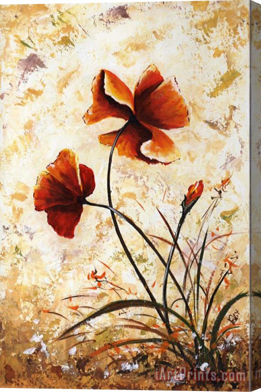 Edit Voros My flowers - Rust Poppies 2 Stretched Canvas Print / Canvas Art