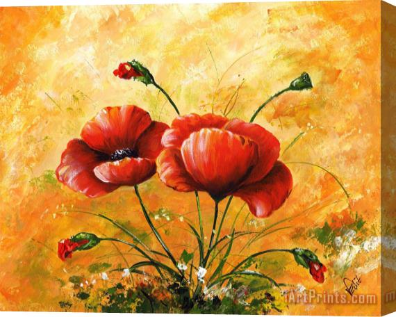 Edit Voros My poppies Stretched Canvas Print / Canvas Art