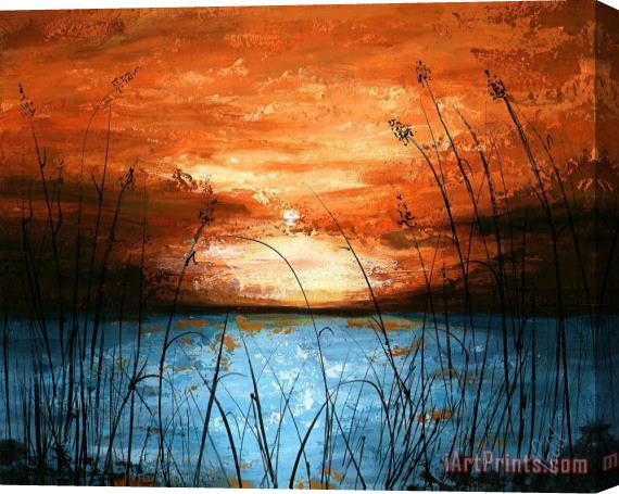 Edit Voros Red Sunset Stretched Canvas Print / Canvas Art