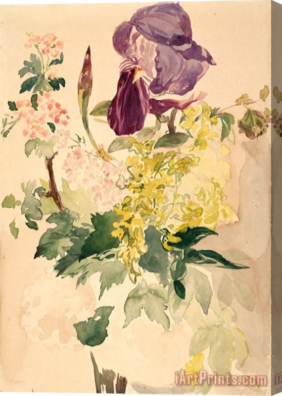 Edouard Manet Flower Piece with Iris, Laburnum, And Geranium, 1880 Stretched Canvas Painting / Canvas Art
