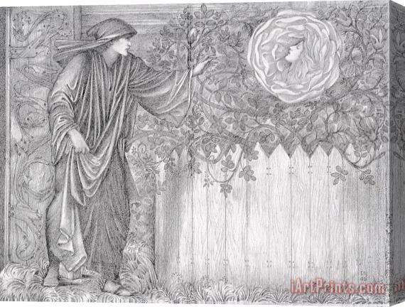 Edward Burne Jones Romaunt of The Rose The Heart of The Rose Stretched Canvas Print / Canvas Art