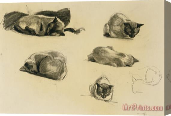 Edward Hopper Cat Study Stretched Canvas Painting / Canvas Art
