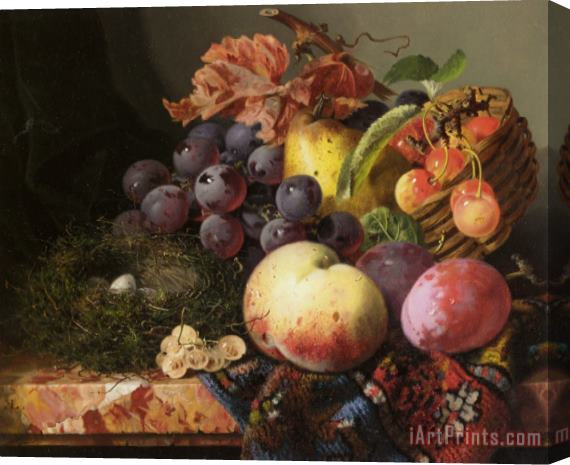 Edward Ladell Still Life with Birds Nest And Fruit Stretched Canvas Print / Canvas Art