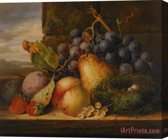 Edward Ladell Still Life with Birds Nest Stretched Canvas Painting / Canvas Art