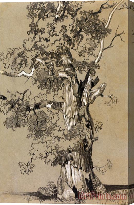 Edward Lear Parham, October.13.1834 Stretched Canvas Print / Canvas Art