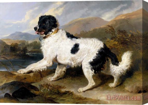Edwin Landseer Lion a Newfoundland Dog Stretched Canvas Print / Canvas Art