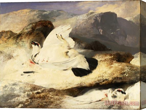 Edwin Landseer Ptarmigan in a Landscape Stretched Canvas Print / Canvas Art