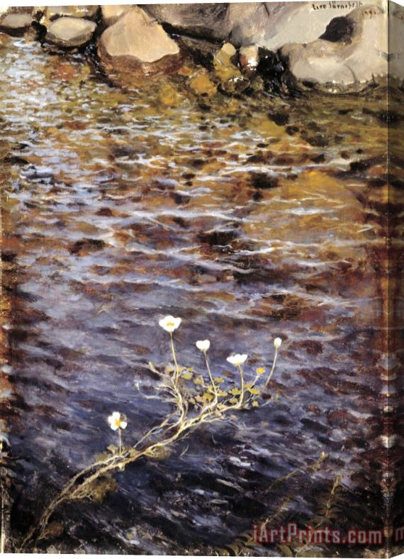 Eero Jarnefelt Pond Water Crowfoot Stretched Canvas Painting / Canvas Art