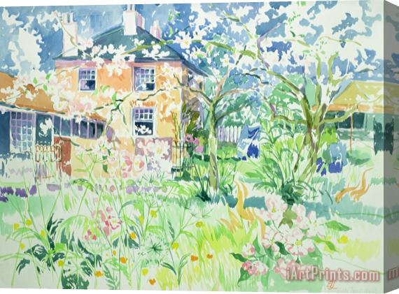 Elizabeth Jane Lloyd Apple Blossom Farm Stretched Canvas Painting / Canvas Art
