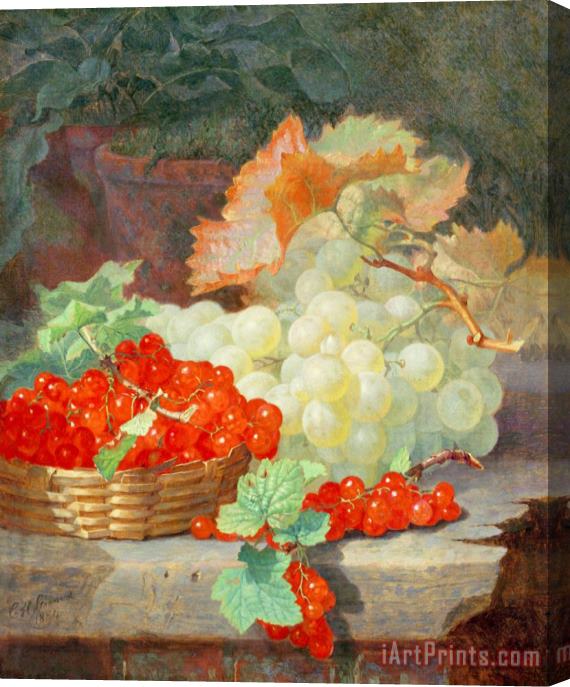 Eloise Harriet Stannard Redcurrants And Grapes 1864 Stretched Canvas Print / Canvas Art