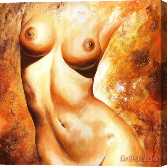 Emerico Toth Nude details Stretched Canvas Print / Canvas Art